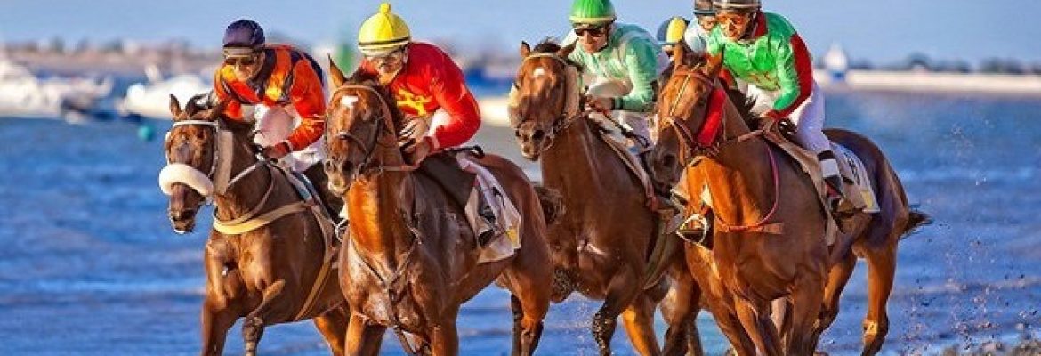 Horse Race of Sanlúcar de Barrameda, Cadiz  |  Aug  2018