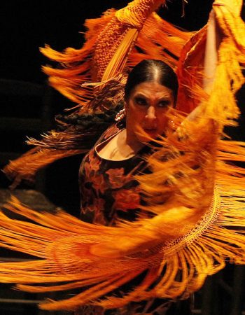 Jerez Flamenco Festival  |  Feb – Mar 2018