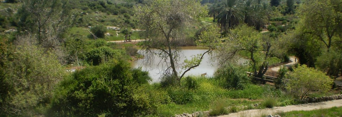 Neot Kedumim Biblical Landscape Reserve, Central District, Israel