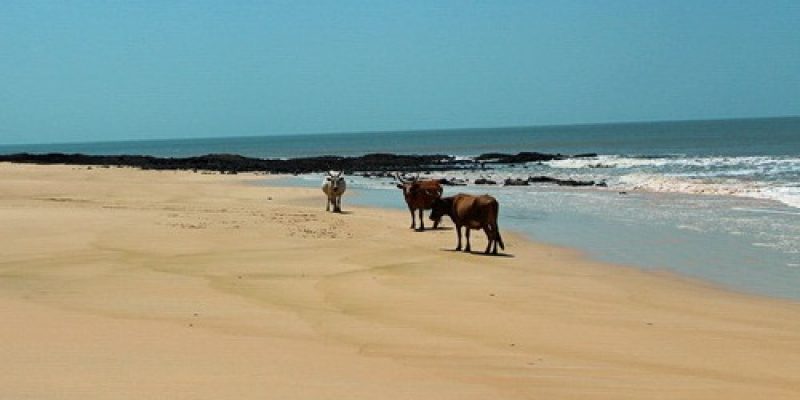 Varela, Guinea-Bissau