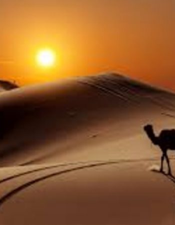 Mr Marouche, Sahara Guide, Sahara Desert, Hassilabied, Morocco