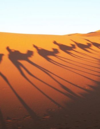 Mr Marouche, Sahara Guide, Sahara Desert, Hassilabied, Morocco