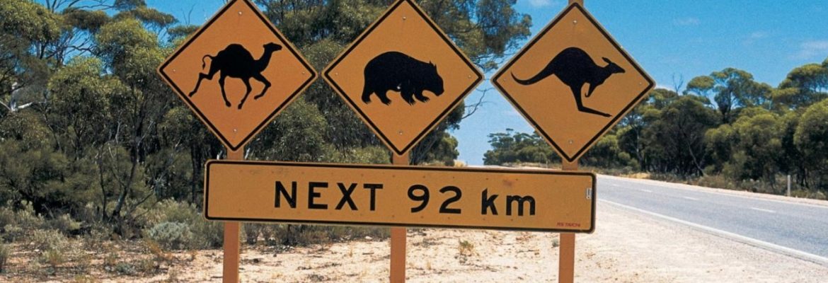 Nullarbor National Park, SA, Australia